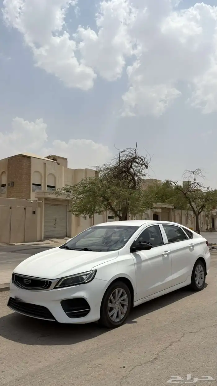 جيلي بينراي 2020 0