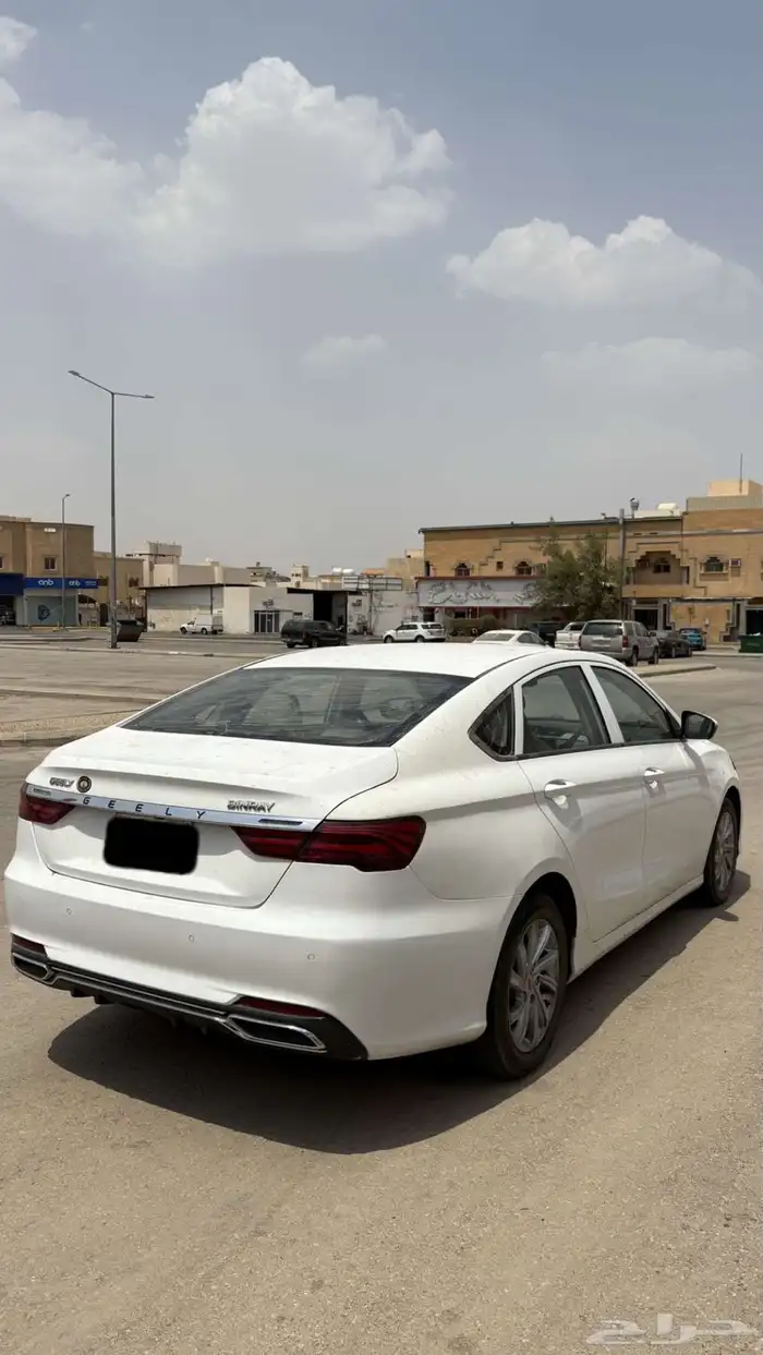 جيلي بينراي 2020 1
