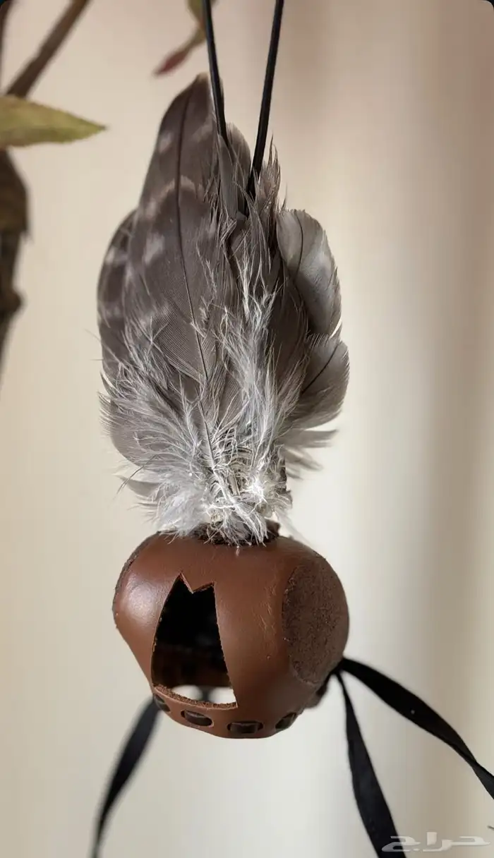 ميدالية سيارة 0