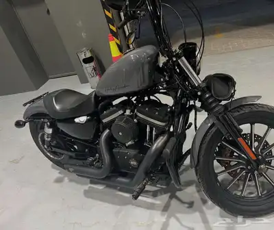 2014 Harley Sportster 883 index