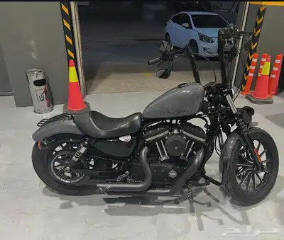 2014 Harley Sportster 883 index