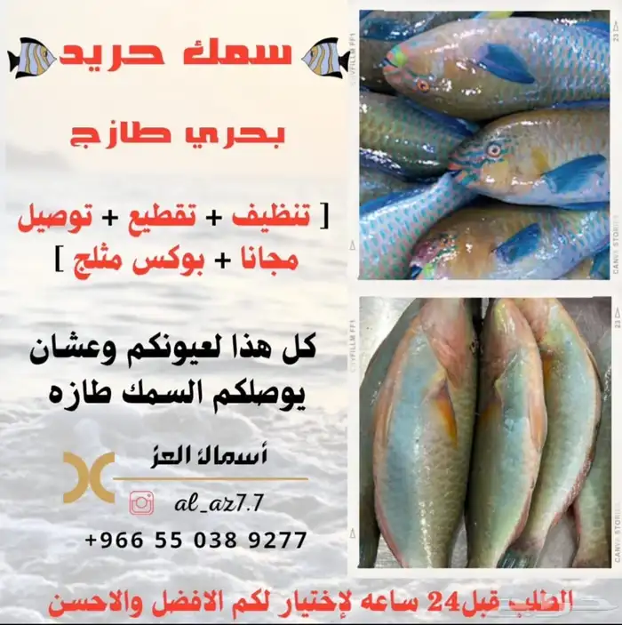 سمك بحري طازه لباب بيتك 0