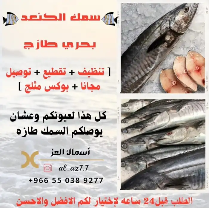 سمك بحري طازه لباب بيتك 2