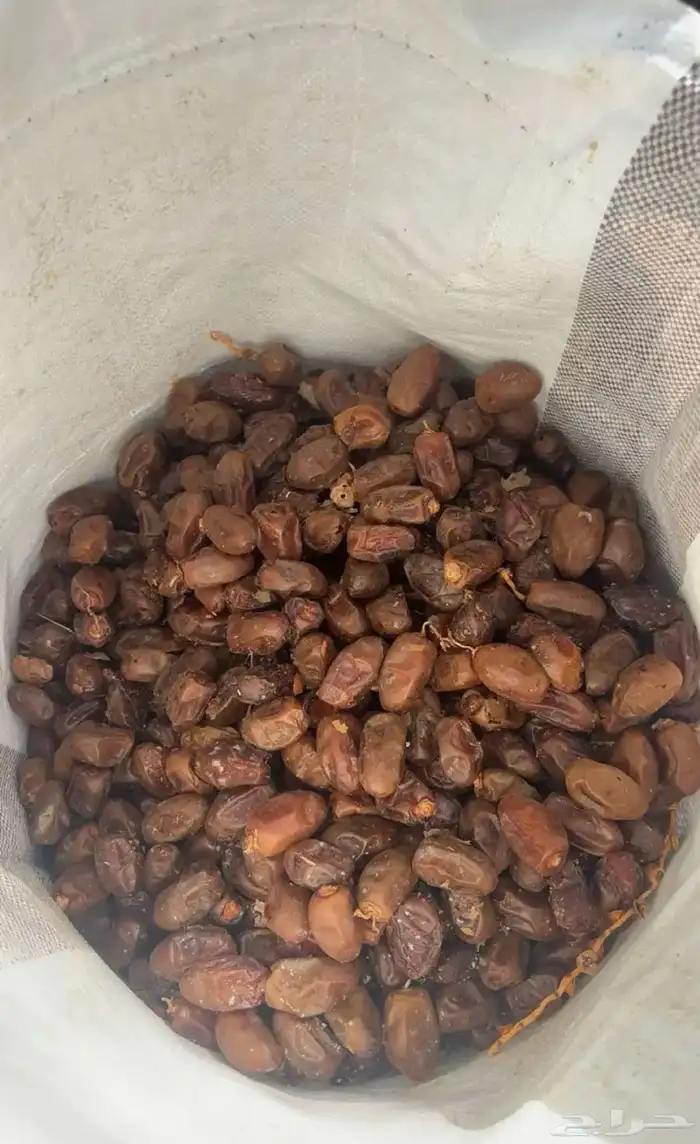 تمر حلال اكياس تمر ناشف 1
