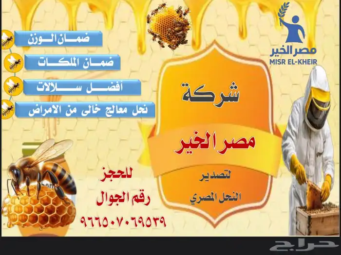 نحل مصري مستورد معالج ضمان الوزن والملكات 1