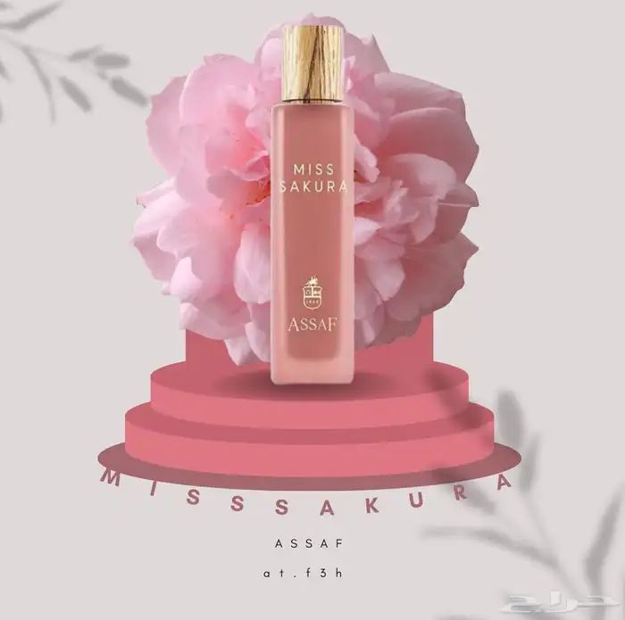 مصممة جرافيك 6