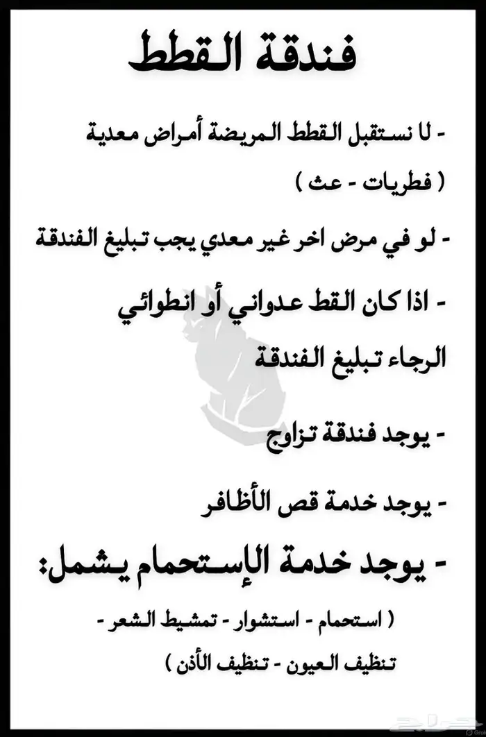 فندقة قطط الخفجي 0