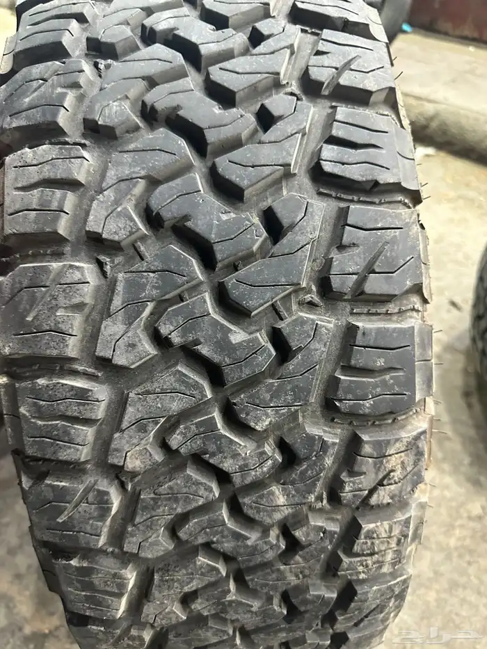 كفرات نص حجرية مع جنوط برايد. الكفرات 23 10