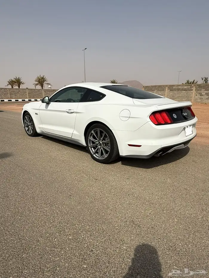 للبيع موستنج 2015 شبه مخزن ممشى قليل 13