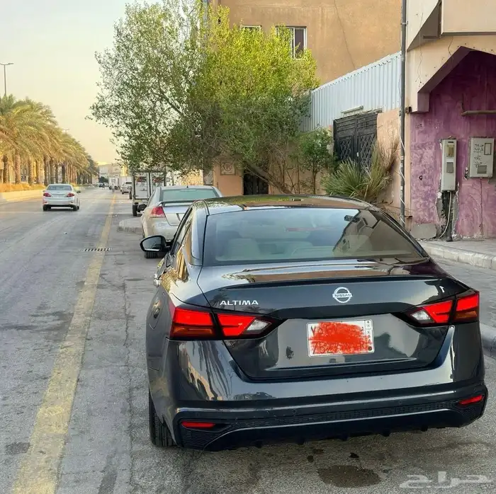 التيما 2022 5