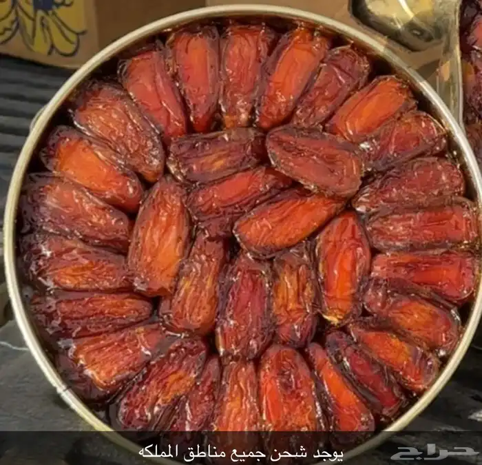 تمر صفري بيشه 0