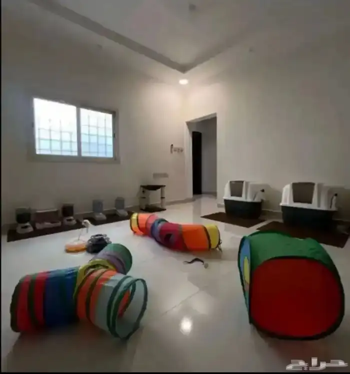 فندقه قطط 3