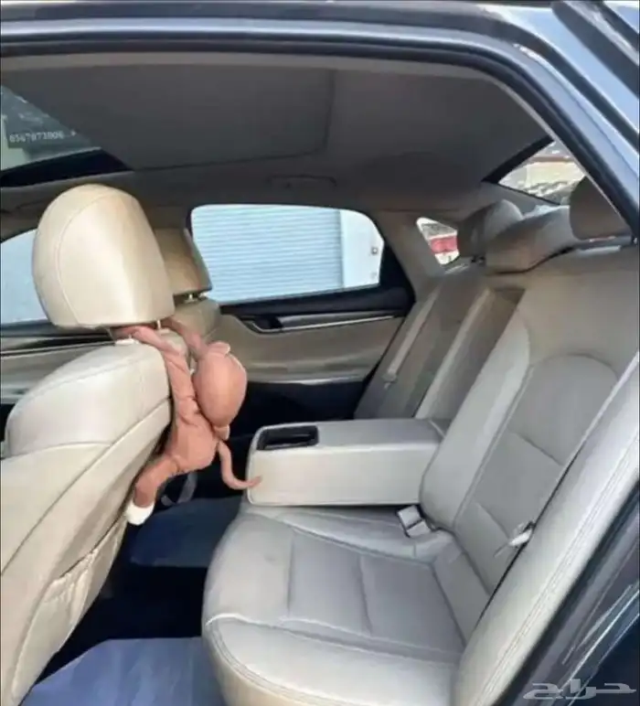 ازيرا 2019 للبيع 5