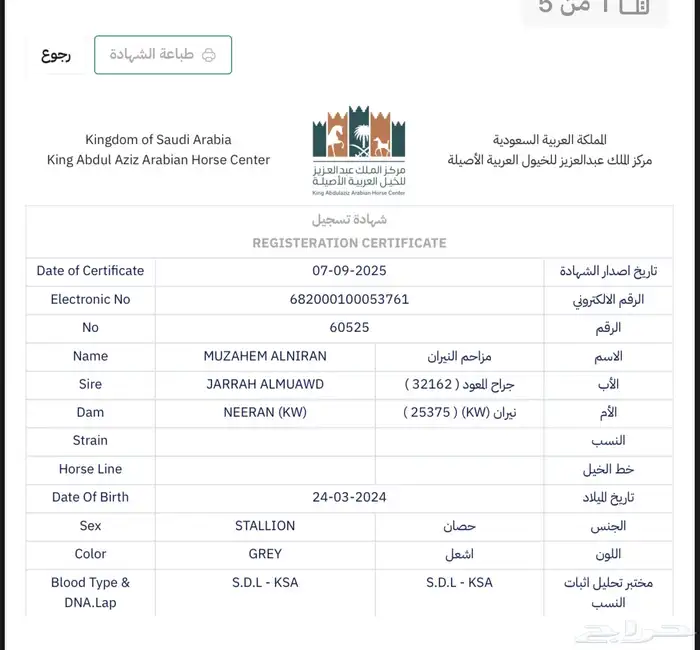 مهر شو ولد جراح المعود 9