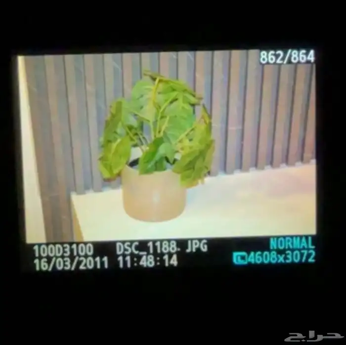 كاميرا كانون D3100 6
