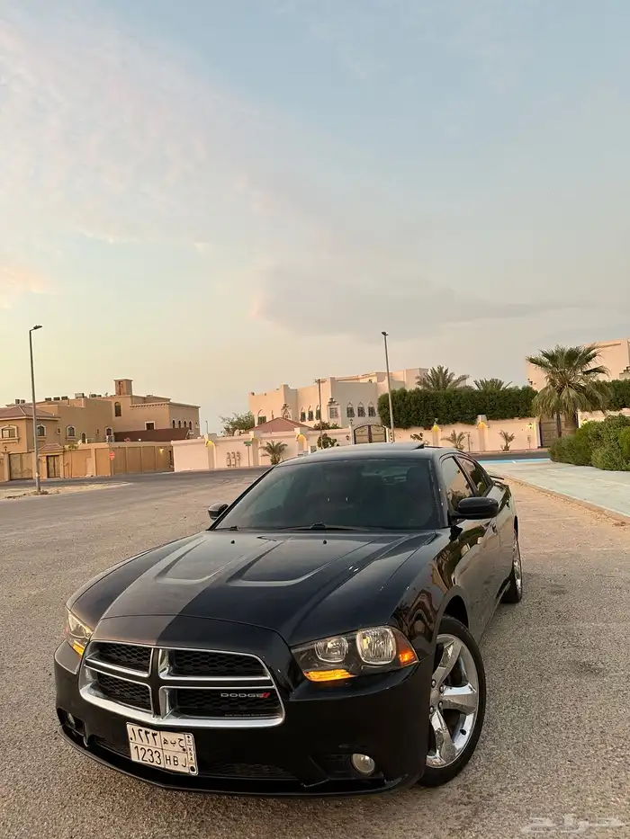 تشارجر قمة بالنظافة 0