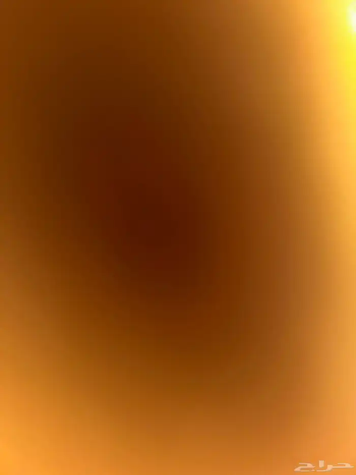 ابي غرفة استديو لمده سنه 0