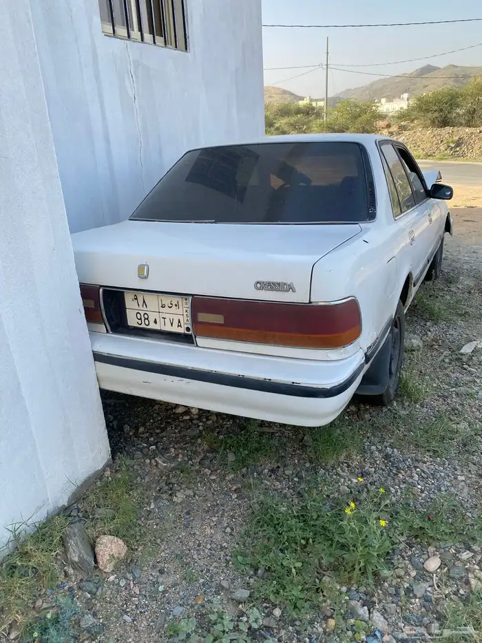 الطائف 10