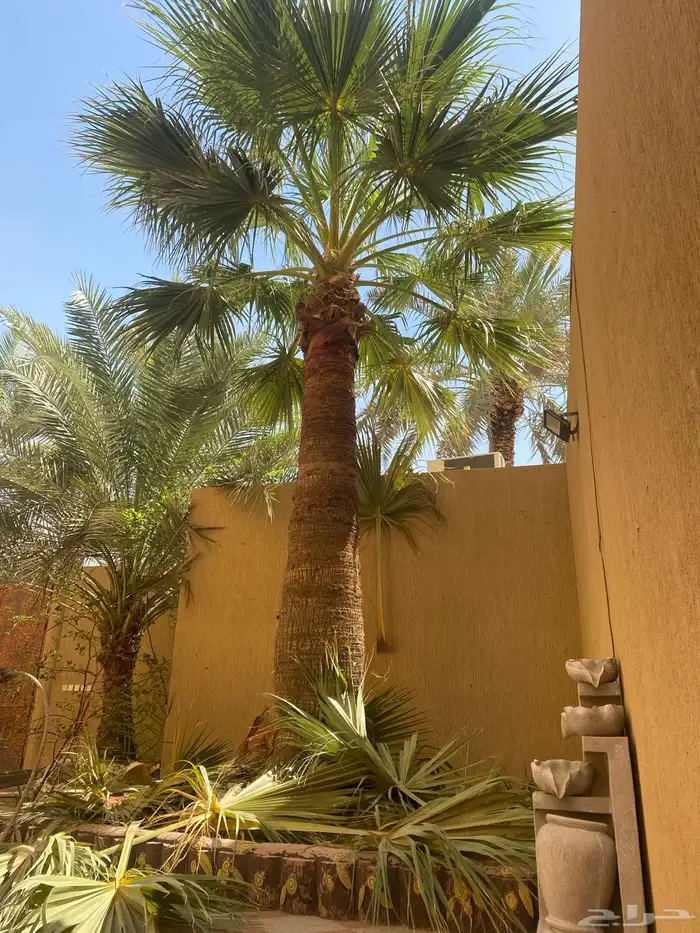تنضيف وتكريب وتوريد وغرس 0