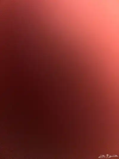 ارنب فرنسي 0