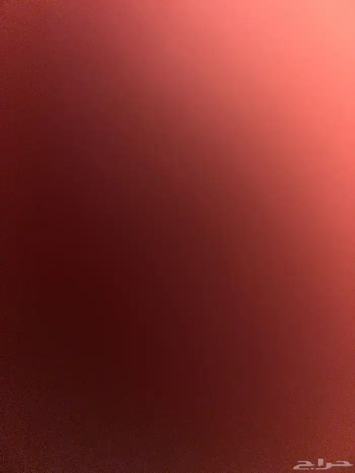 ارنب فرنسي 0