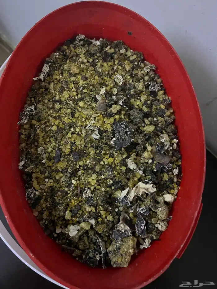 بخور مستكه 0