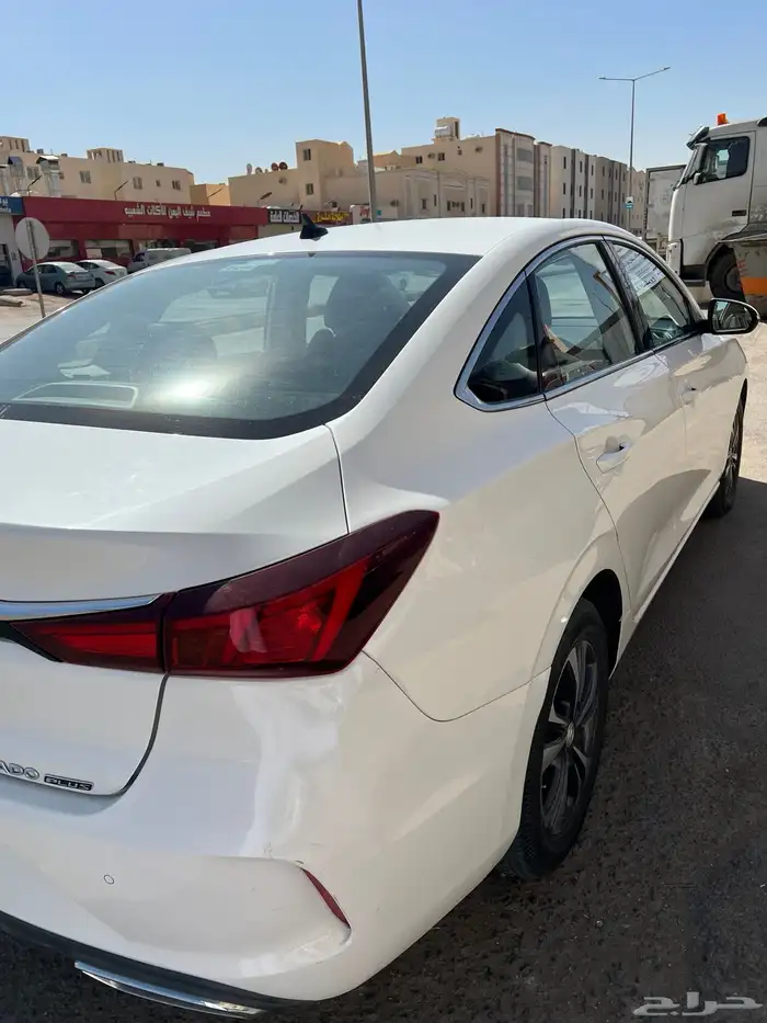 إيدو بلس 2022 3