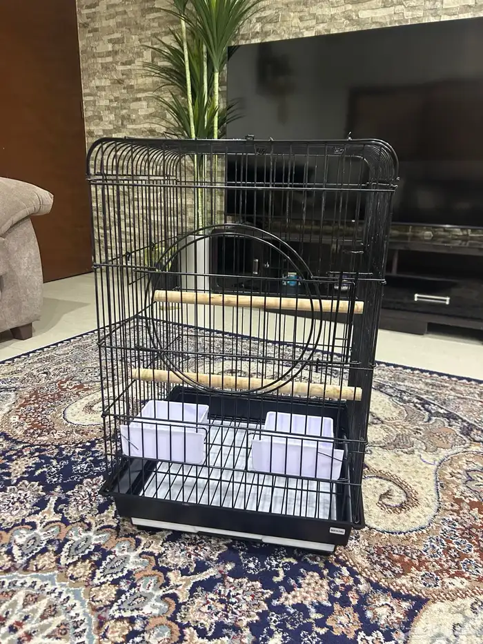 المبرز 0