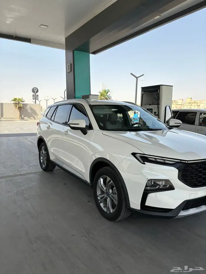 تيريتوري 2024 2