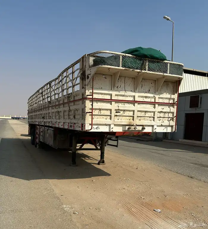 سطحه جوانب طول 12.50 1