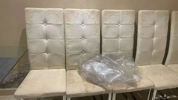 سفرة طعام 3