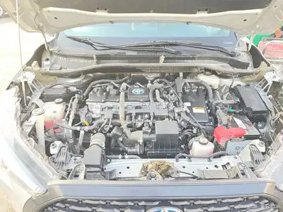Toyota Corolla Cruise index