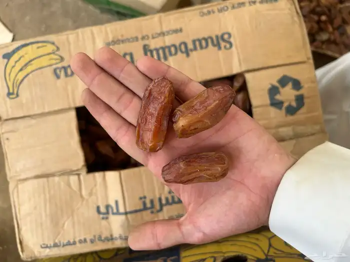 تمر صفري 1