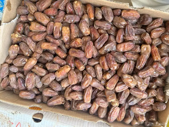 تمر صفري 4