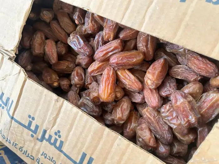 تمر صفري 5