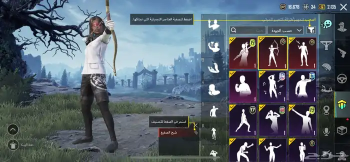 حساب ببجي للبيع 17