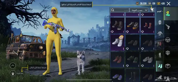 حساب ببجي للبيع 10