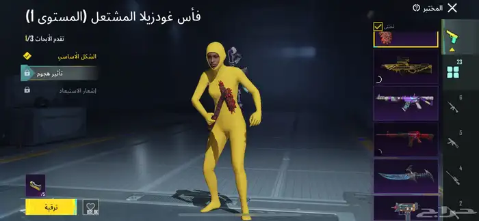 حساب ببجي للبيع 29