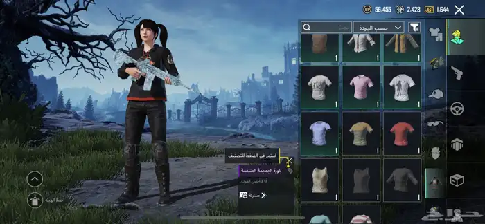 حساب ببجي 13