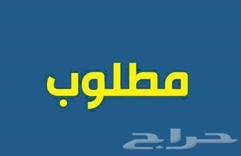 مطلوب قط للتبني 0