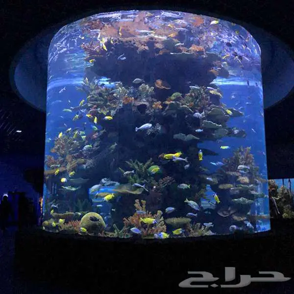 مشروع مطعم سياحي 2