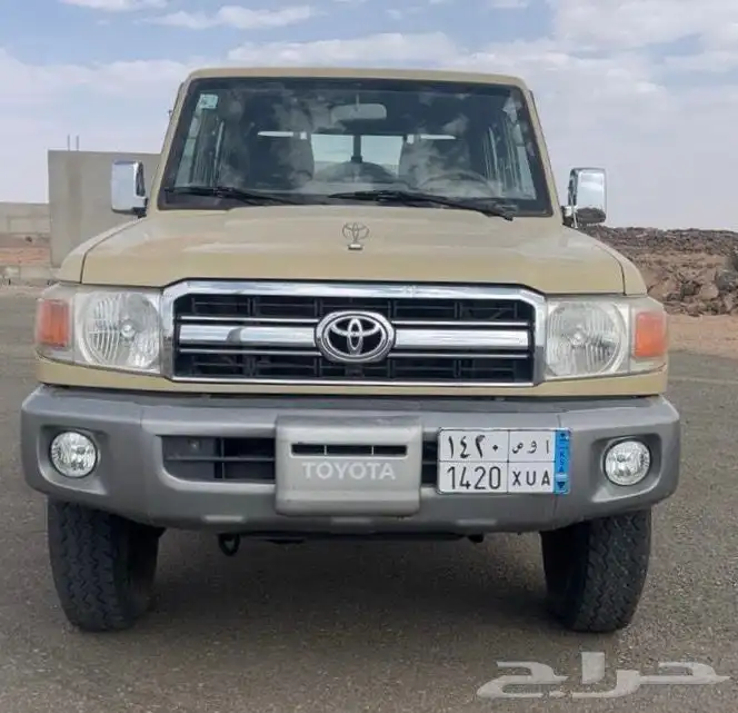 شاص غمارتين 2014 2