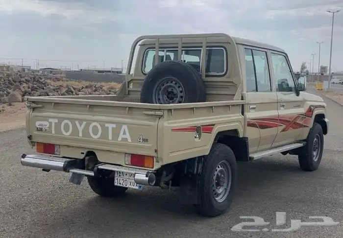 شاص غمارتين 2014 5