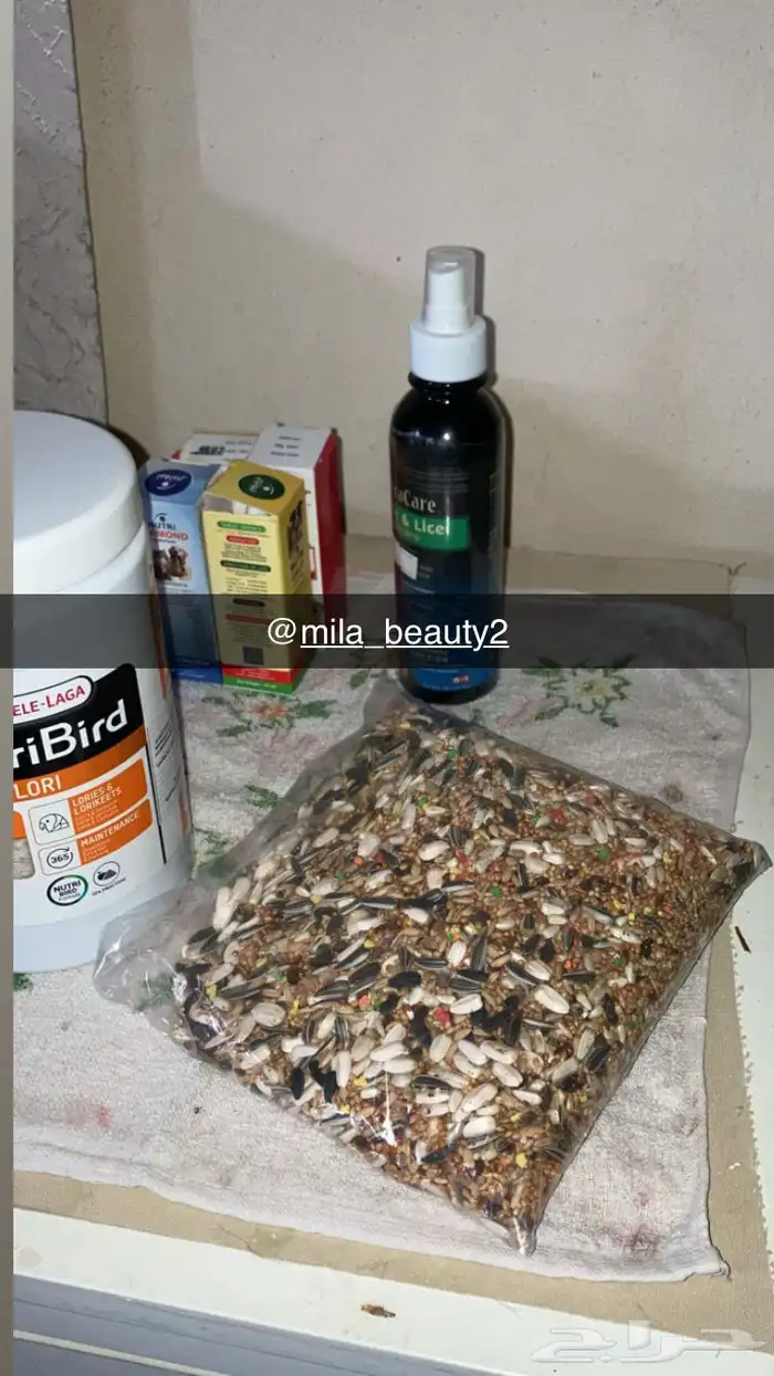 ابغى اتبنى طيور  اللي عنده طير للتبني 0