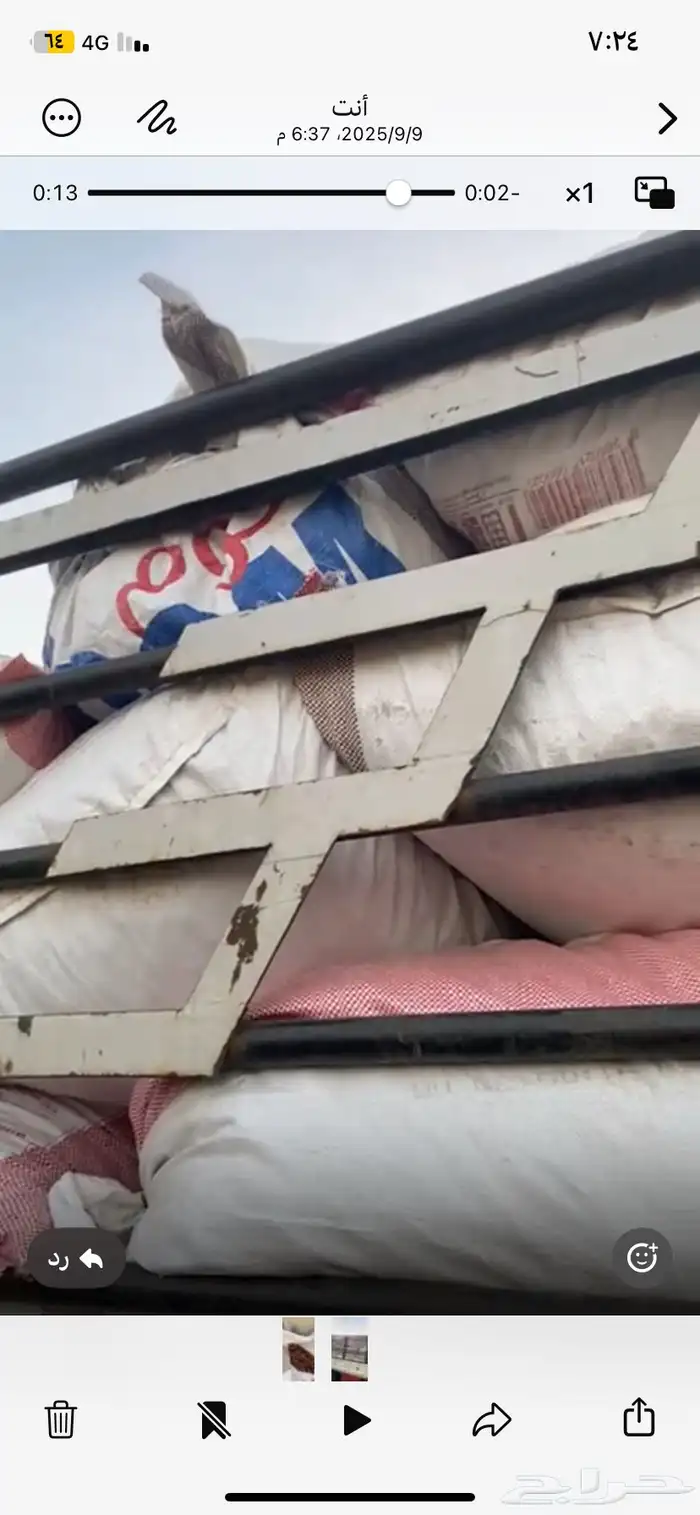 تمر حق حلال نظيف واصل الي زبون ينبع جده 0