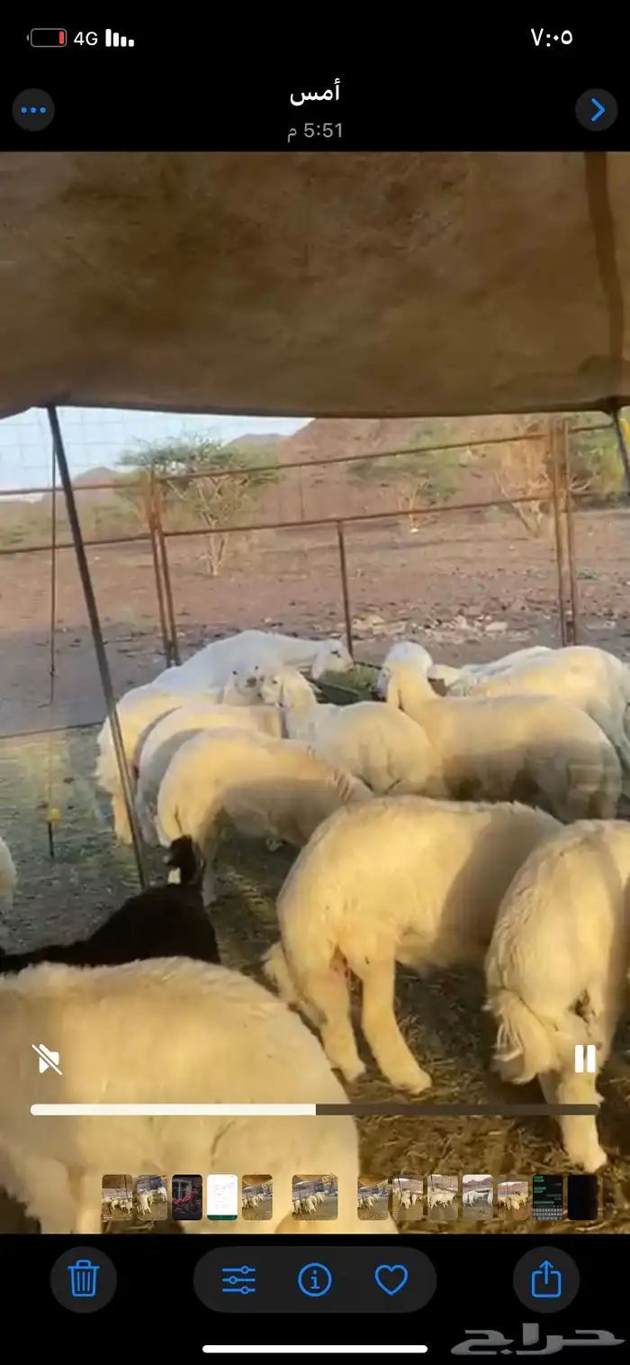 طليان جبره 1