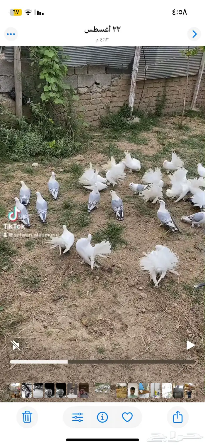 تم البيع 0