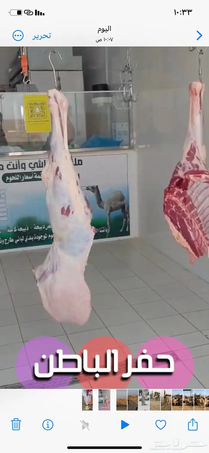 حوار لباني وبري. موجود بالملحمة 2