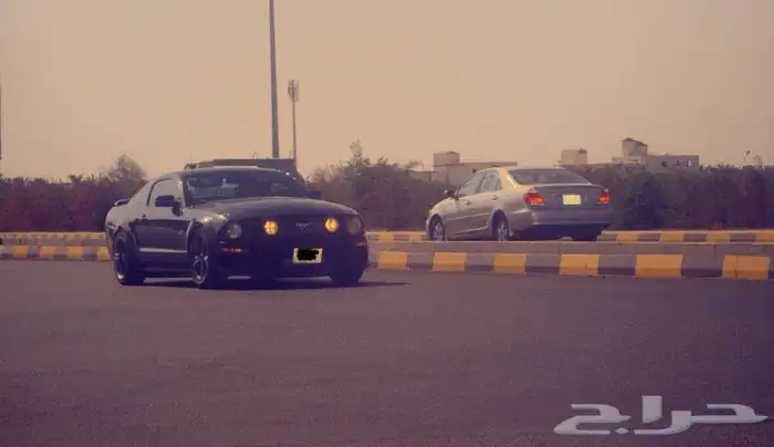 موستنج GT قير عادي 8