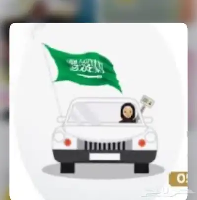 مدربة قيادة 0